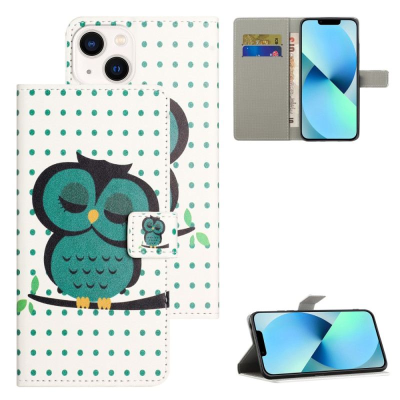 Fliptok iPhone 15 Alvó Bagoly